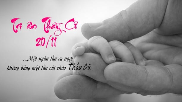 Những Lời Chúc Thầy Cô 20 11 Hay Nhất 8